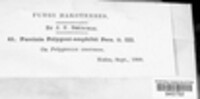 Image Associated With the Occurence
